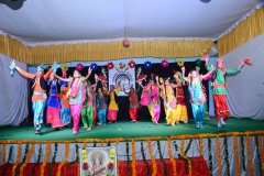 DSC_5542
